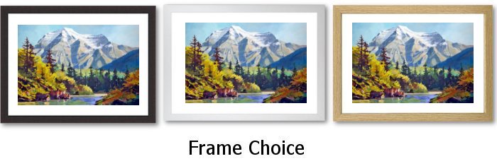 Frame Choice